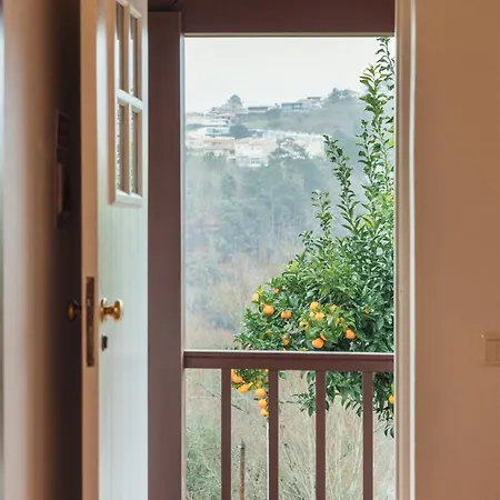 Guest house Casa Da Ribeira